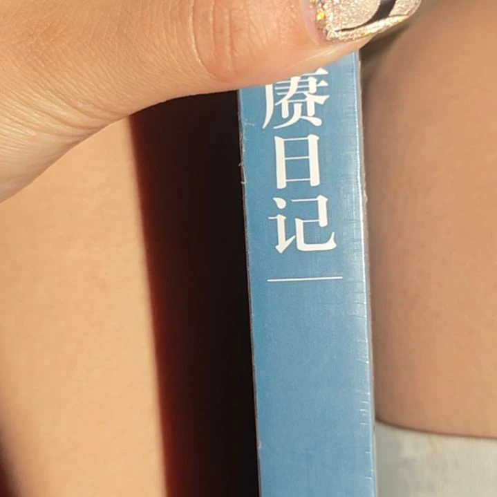 陈的日记平装库存书库存书