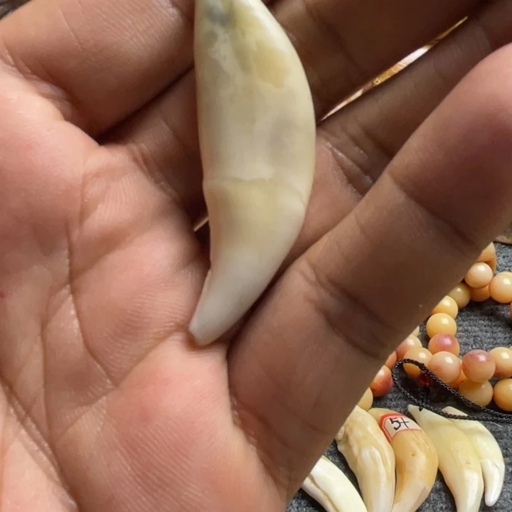 驼骨把件灰灰牙一个