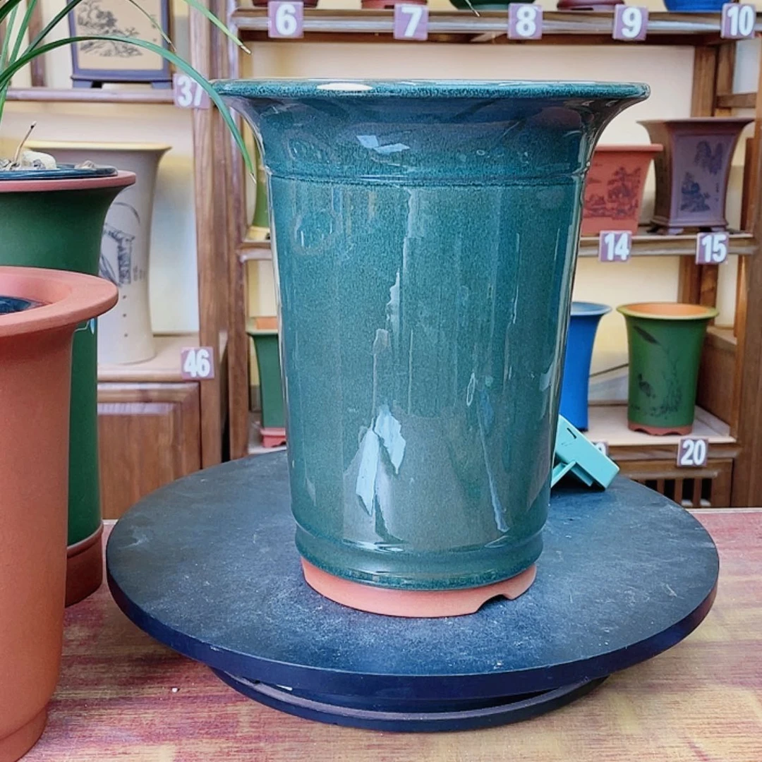 【闪购商品】紫砂花盆飞**客兰花456988555868549464