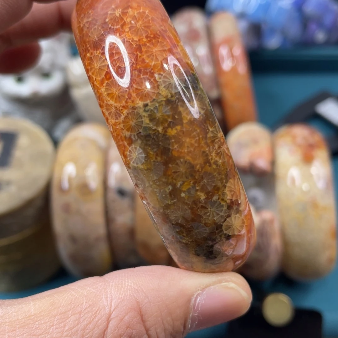 未镶嵌手镯硅化玉