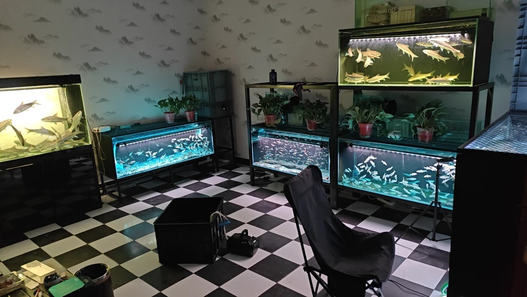 差价专帖，补运费专