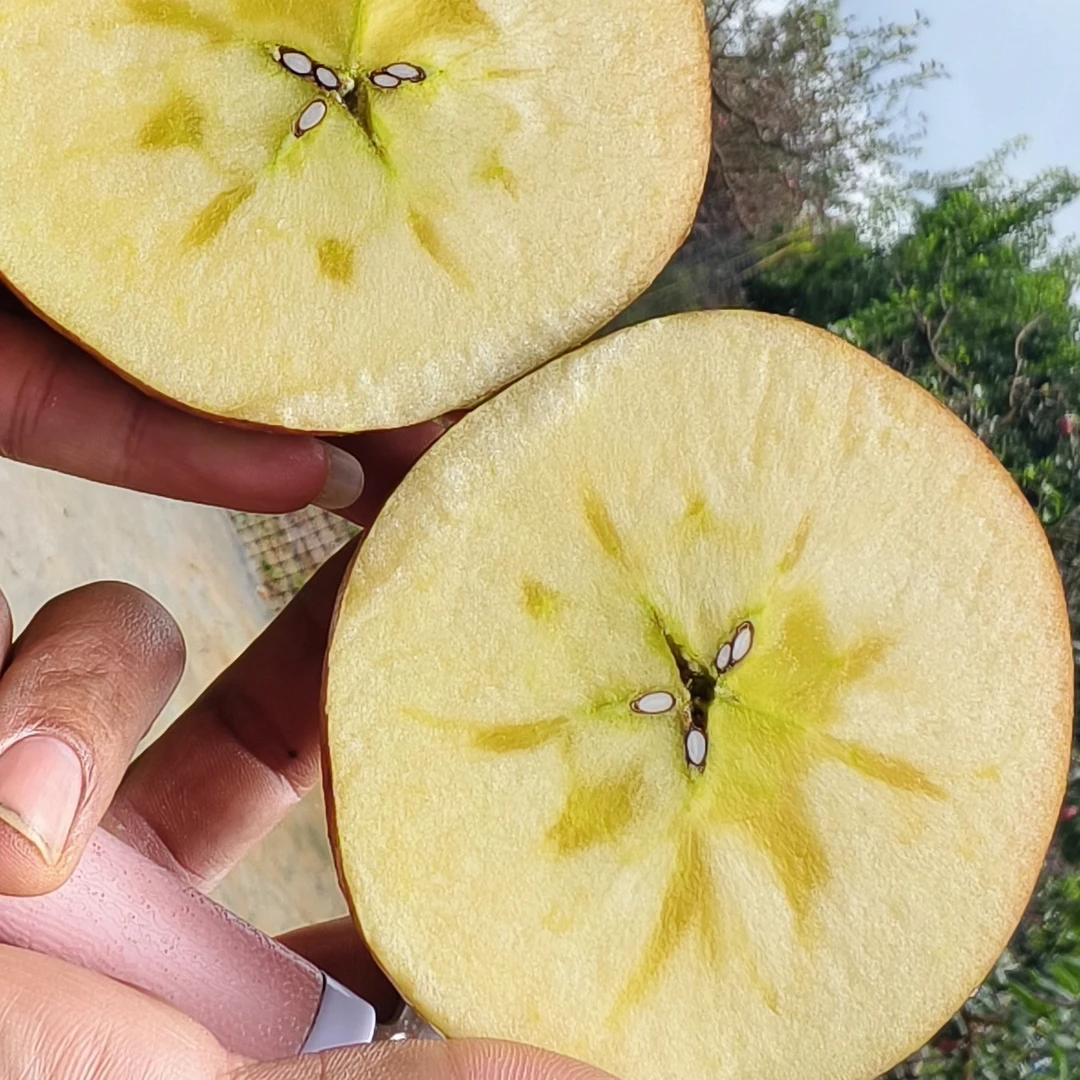 云南马龙歪苹果，新鲜现摘，脆甜多汁红富士水果，老少皆宜