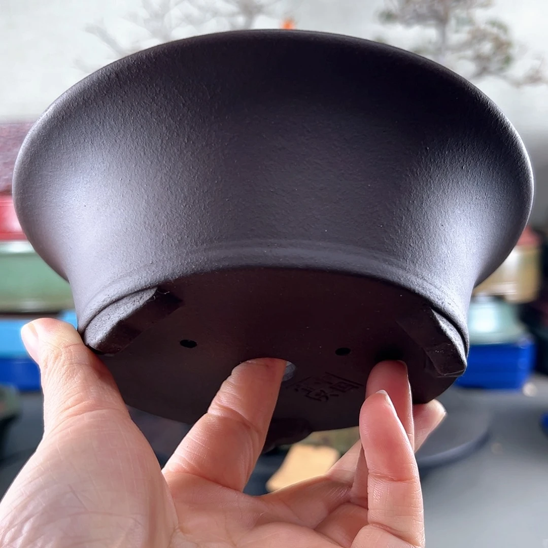 老紫泥盆子一只16.5*6.5