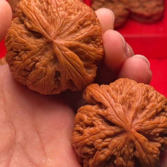 文玩核桃把件秦岭山脉核桃