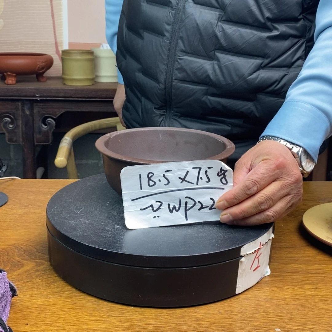 紫砂货号一只WP22