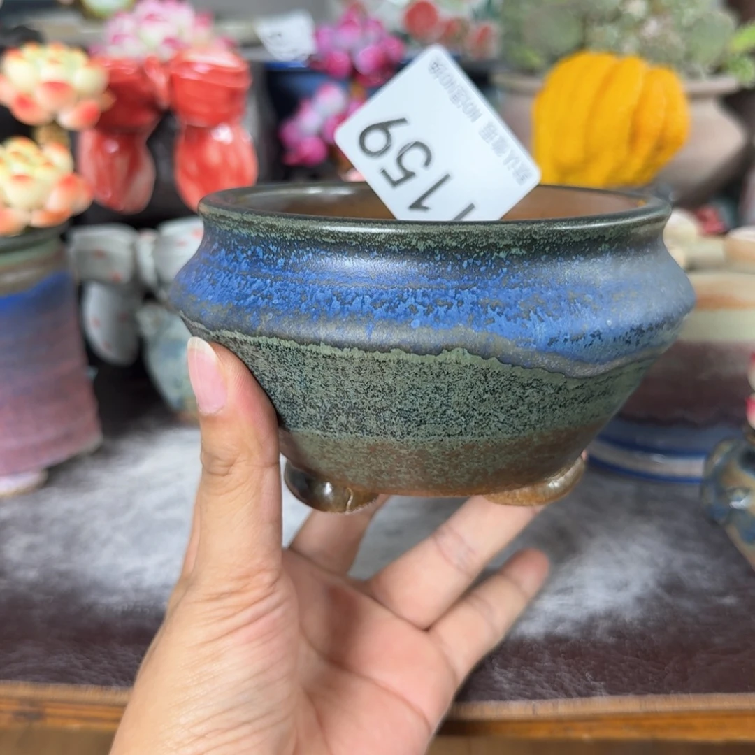 重庆小燕子欢迎大家159