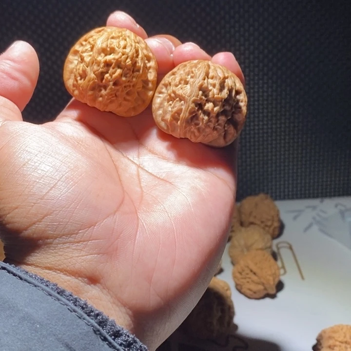 木质类?*范白狮子