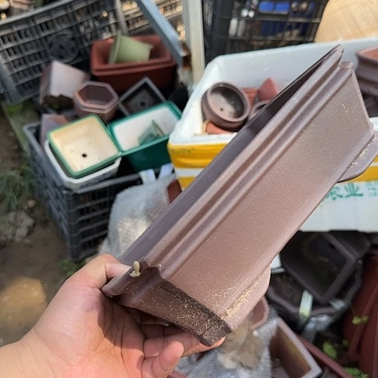 我也很开心了我要一直等你们