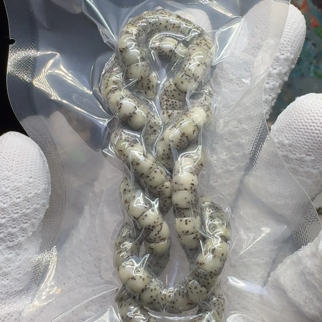 手串星月菩提1-27