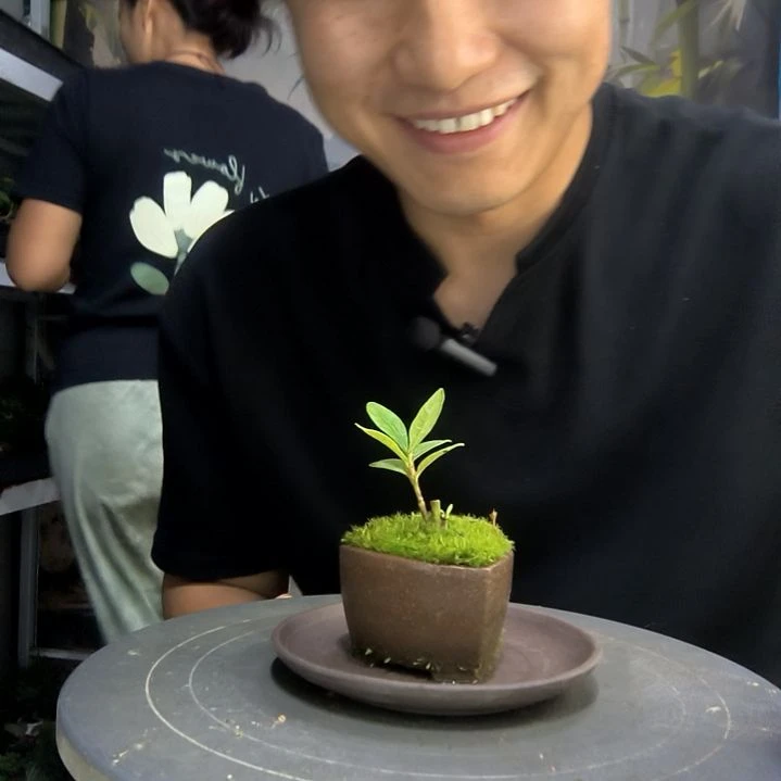 过*过中青园艺一物一拍38