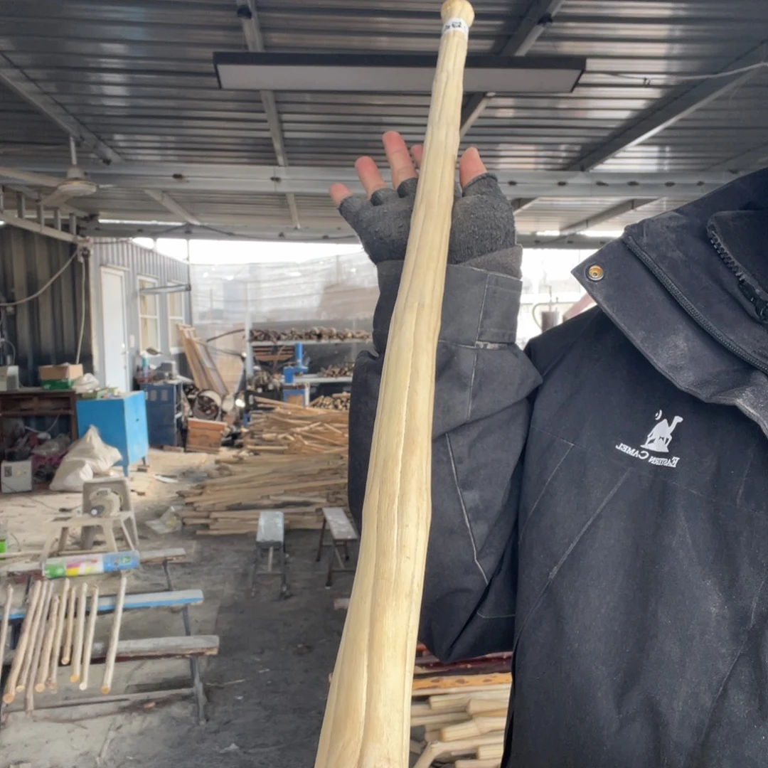 五台山六道木也叫降龙伏虎小济公