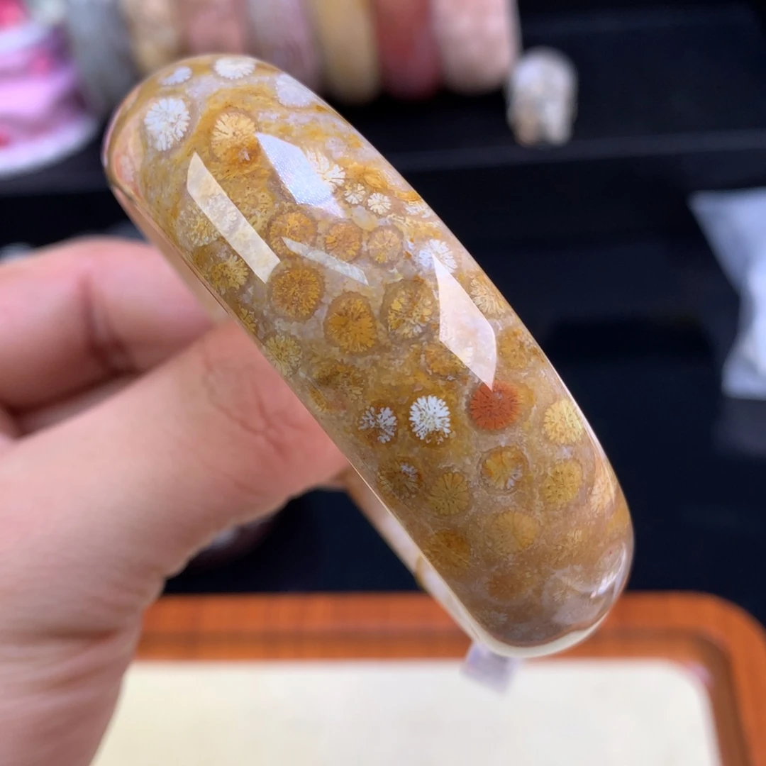 硅化珊瑚（珊瑚玉）未镶嵌颈饰123号57.8圈皮花