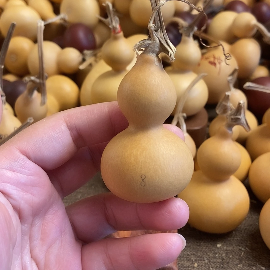 文玩葫芦 完美主义者 慎拍8