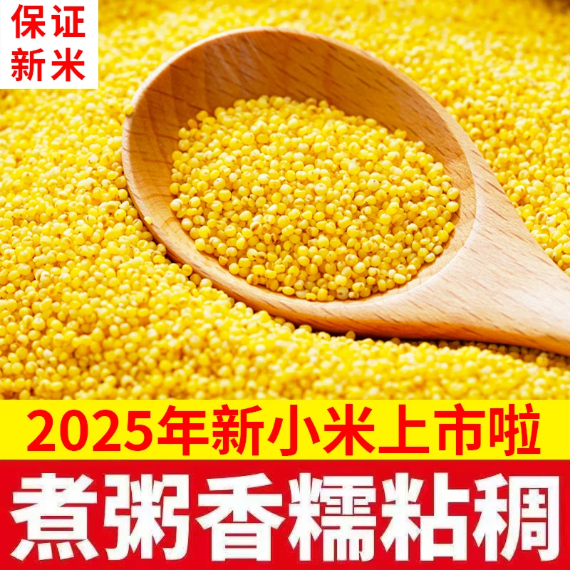 【2025年新小米上市】山西油糯黄小米早餐熬粥黄小米优质杂粮农产品