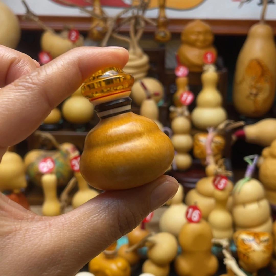 ?**✨葫芦等经济作物和各种植物的生长