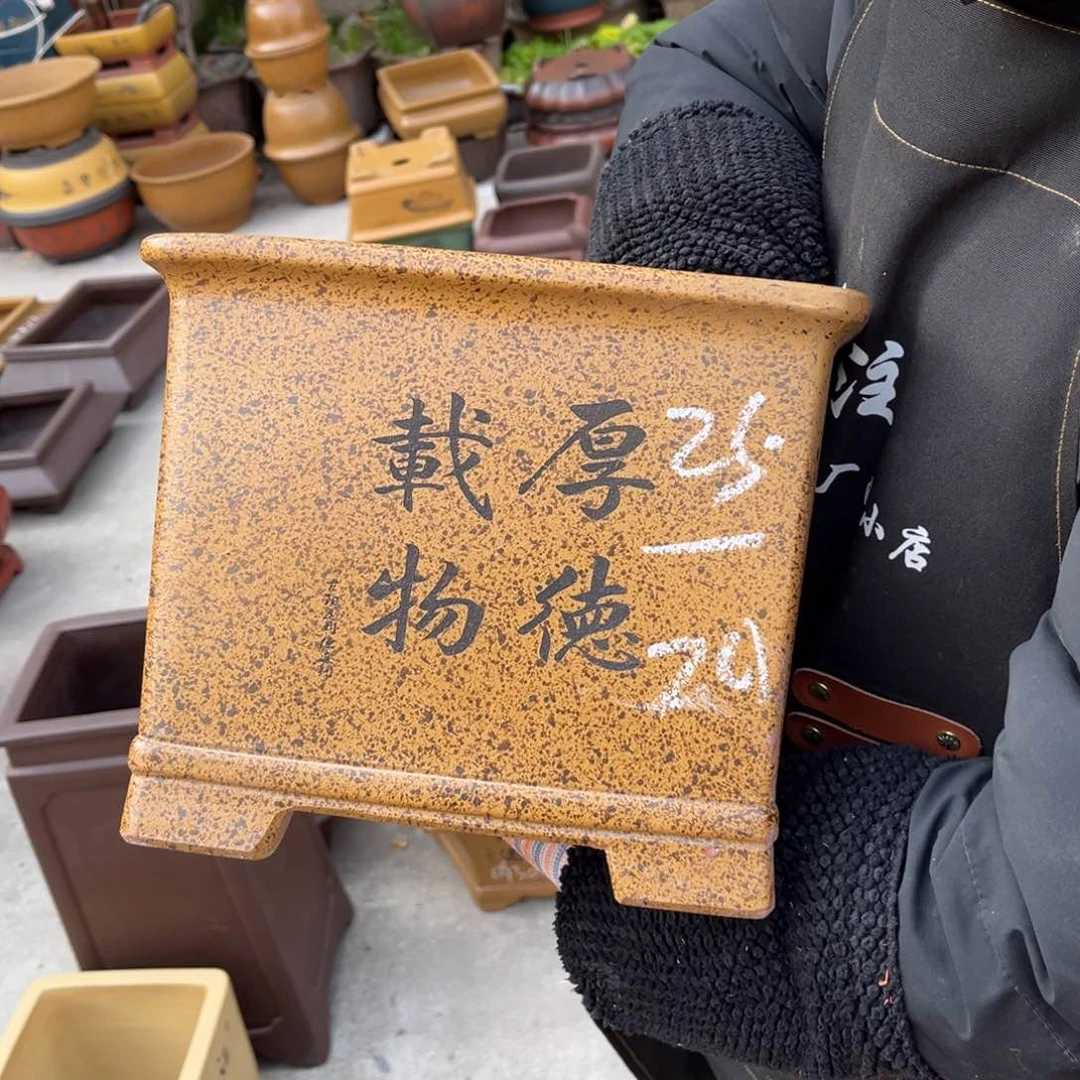 紫砂花盆盆景艺术