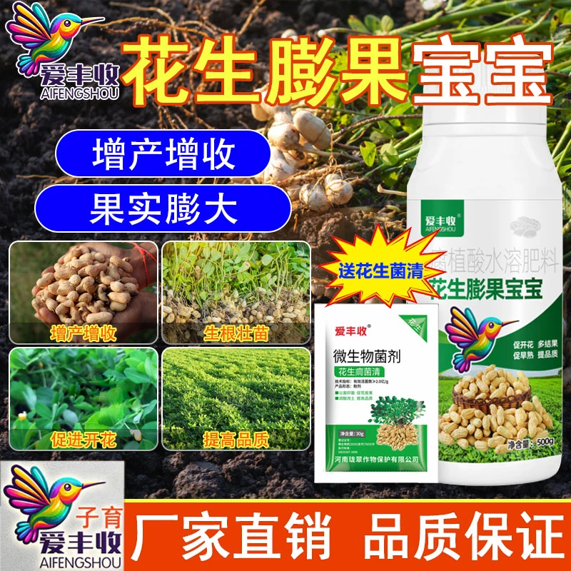 爱丰收花生膨果宝宝增产花生专用膨果扎根多开花籽粒饱满增产