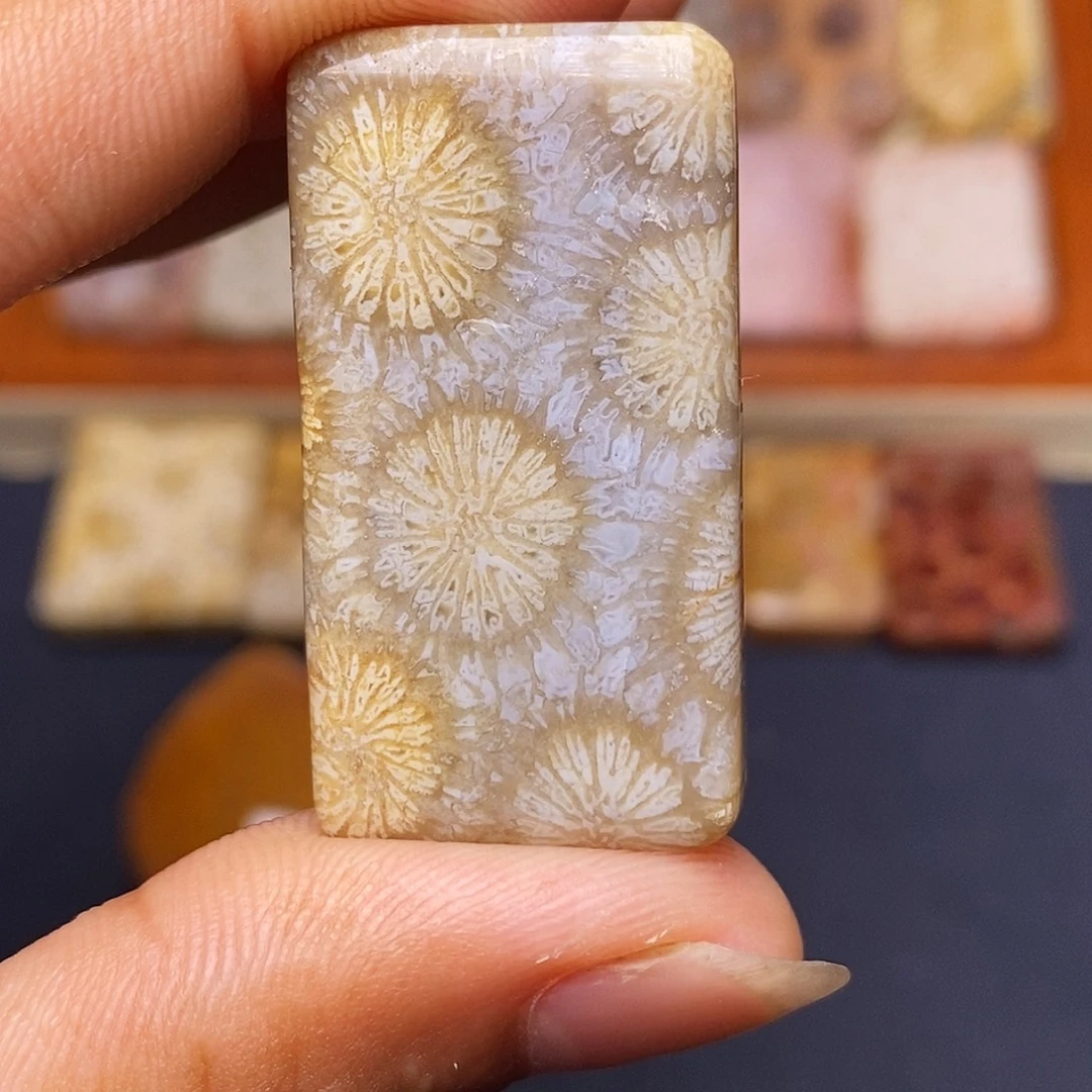 妙***灵硅化玉珊瑚玉合金