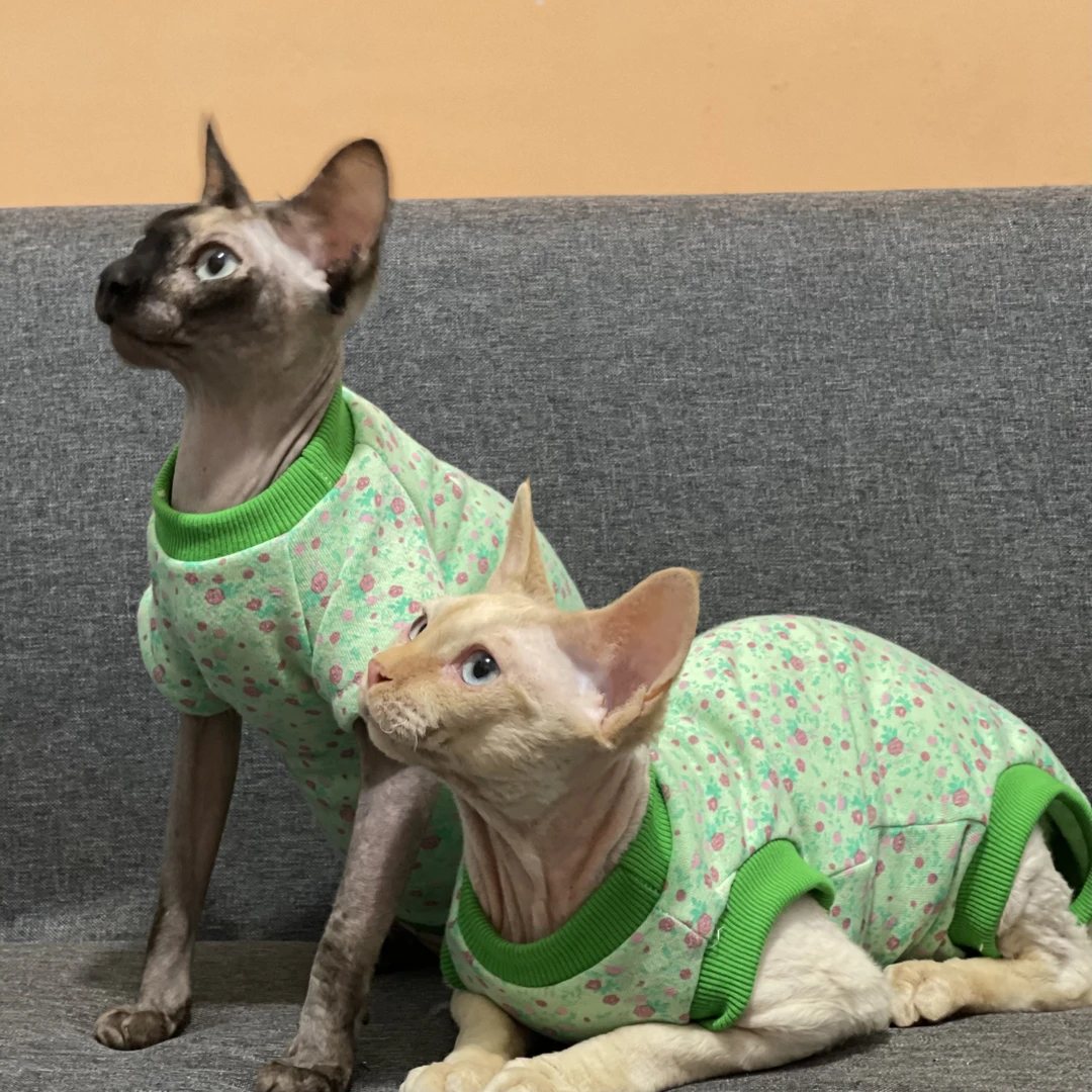 无毛猫衣服秋冬内里薄绒纯棉保暖柔软透气加绒德文斯芬克斯猫衣服