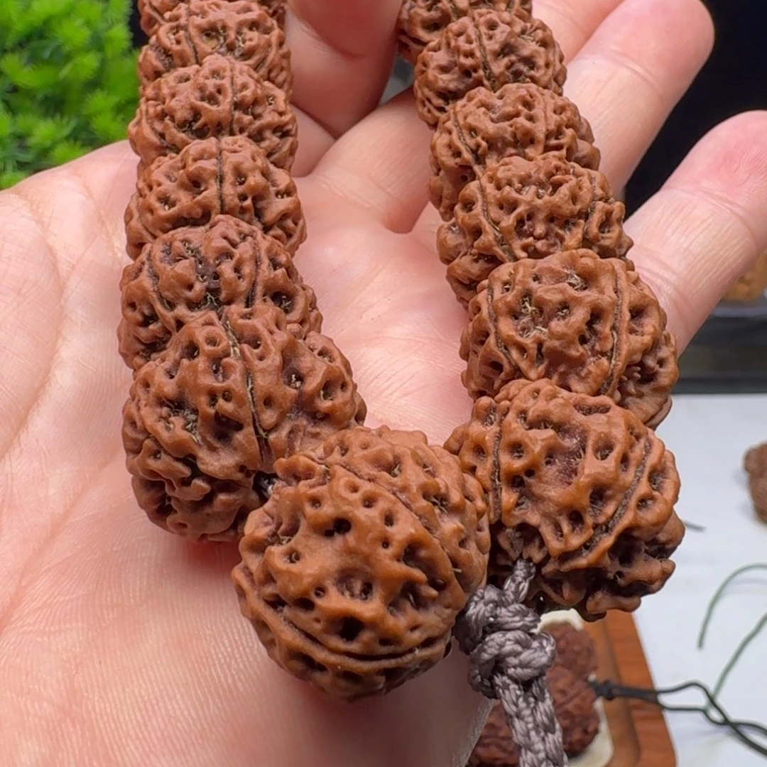 手串金刚菩提蜂窝双龙