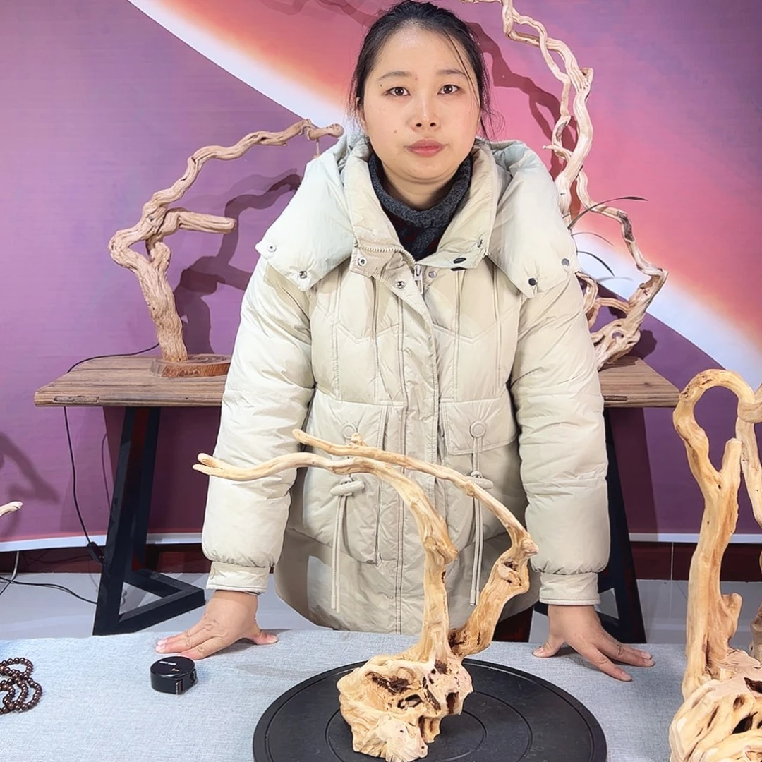廷***）木天然杜鹃根根艺摆件