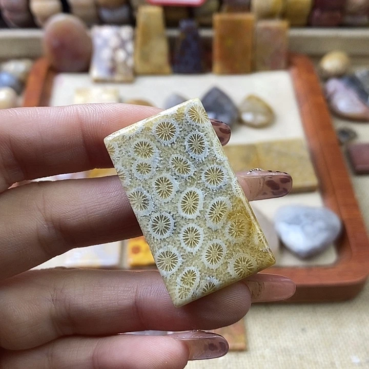 硅化珊瑚（珊瑚玉）未镶嵌颈饰