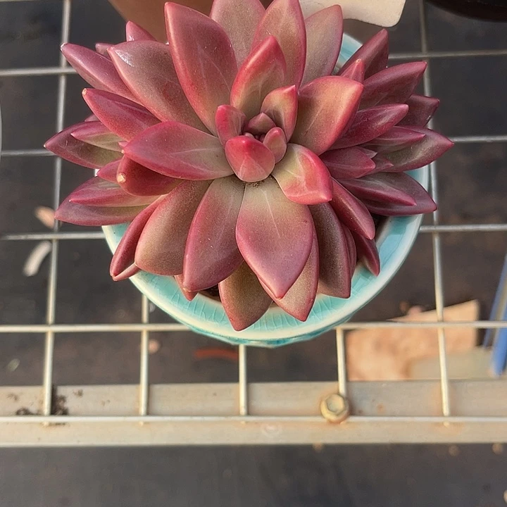 黙***然两单包邮，今天全场福利，168