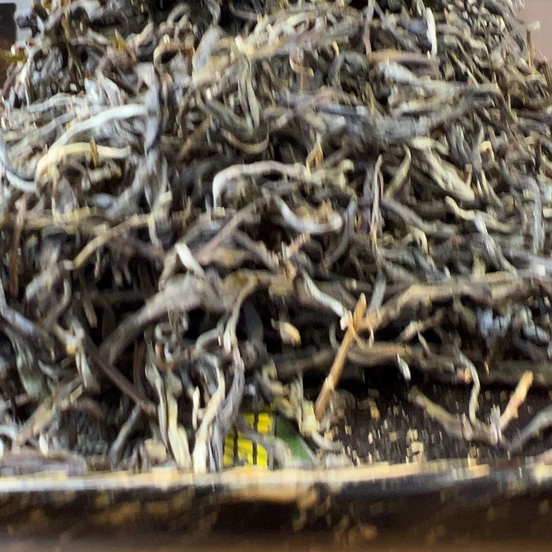 南糯山金字塔拔玛800年古树250克