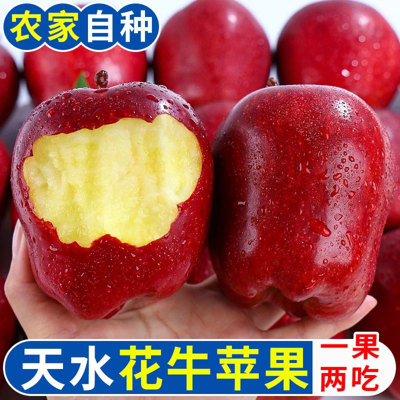 甘肃天水花牛苹果5-10斤当季水果脆粉两吃红蛇果新鲜整箱包邮