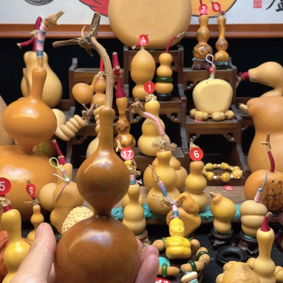 ?*宝大自然的秘密第十一节
