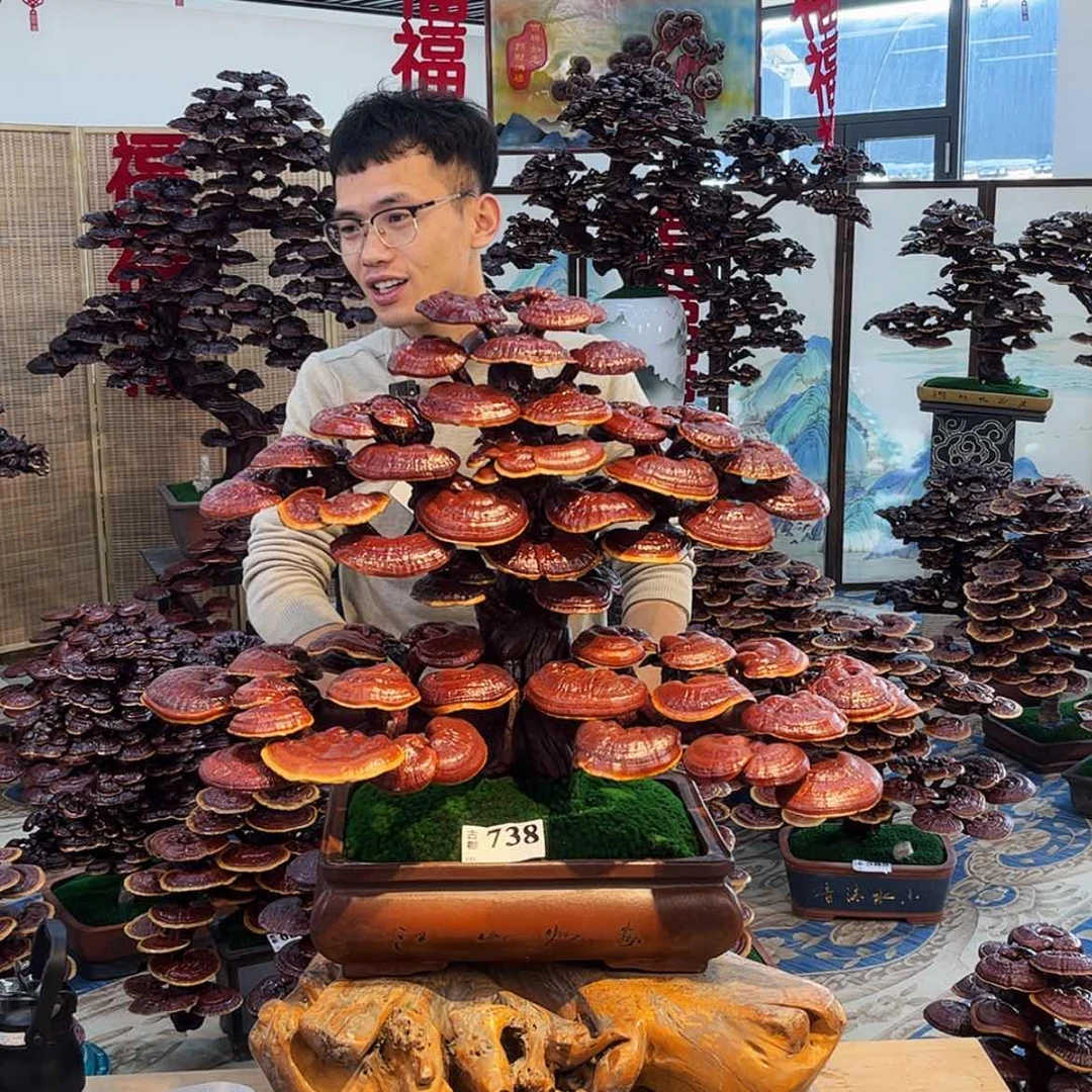 【闪购商品】88888