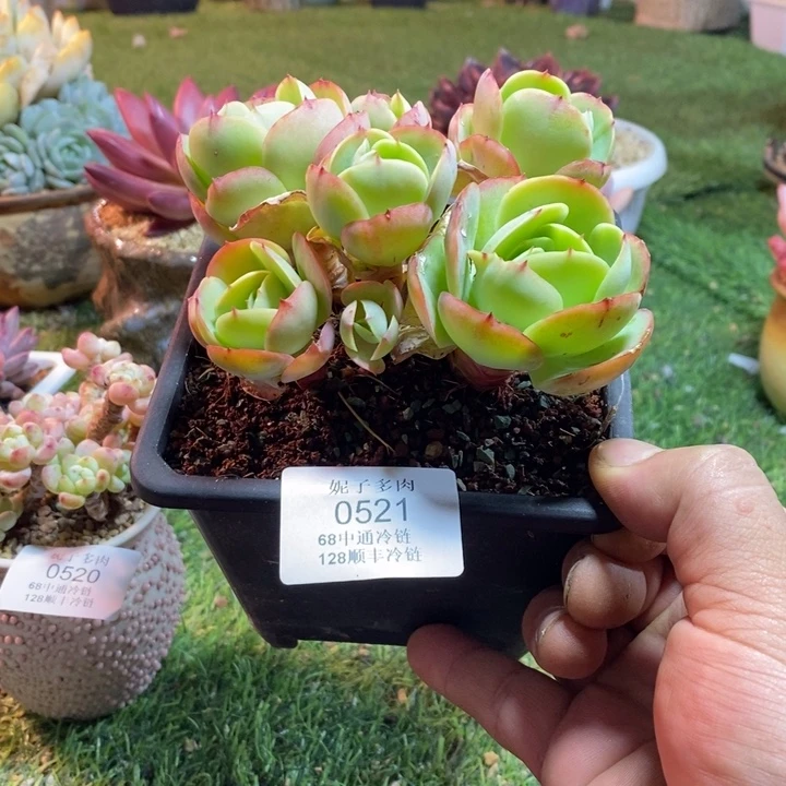 0251啊啊啊啊啊啊啊啊啊