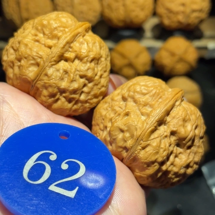 平头蟾核桃尺寸42