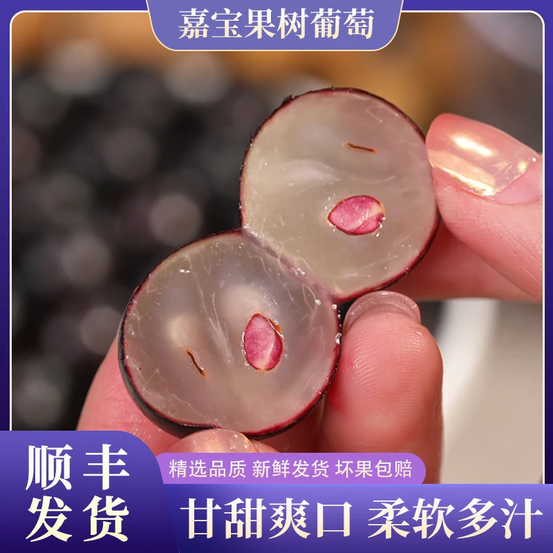 【顺丰】新鲜嘉宝果树葡萄现摘应季稀有水果香甜多汁精选1斤起