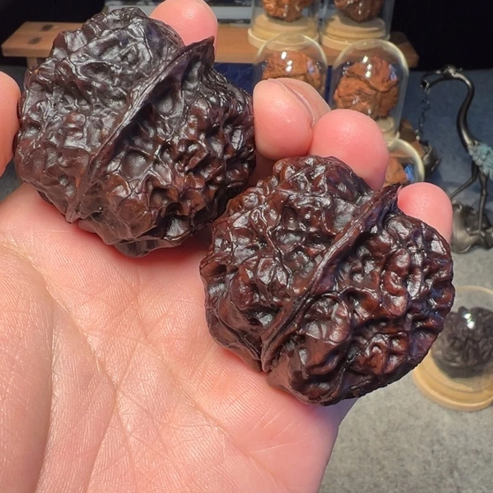 文玩核桃把件七彩皇冠44mm
