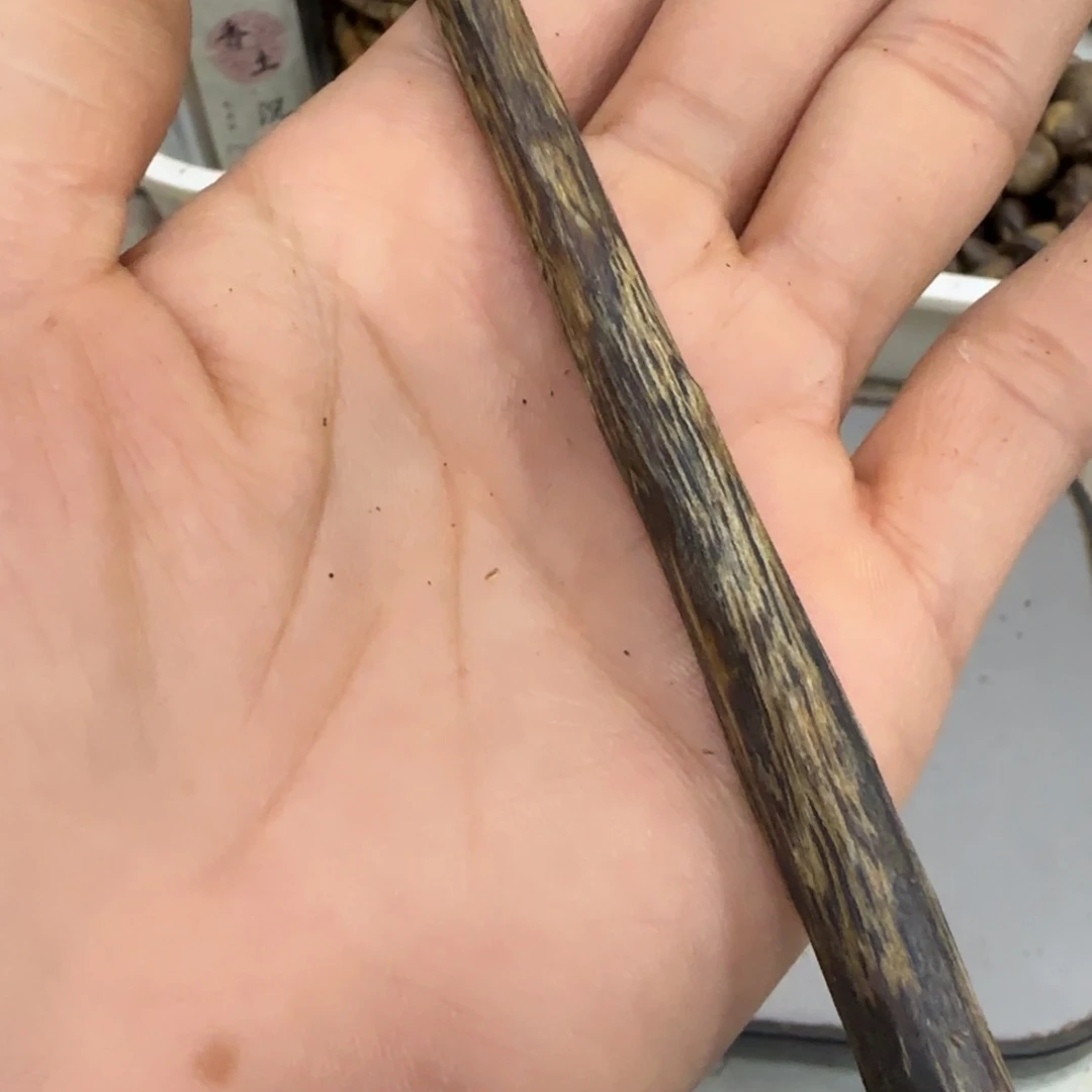 沉香木摆件旭*棋楠沉香虫漏块料8克