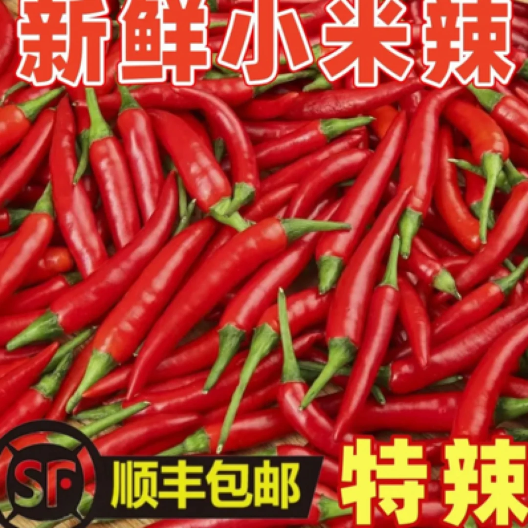 新鲜现摘特辣小米辣椒农家种植可泡椒的美味蔬菜