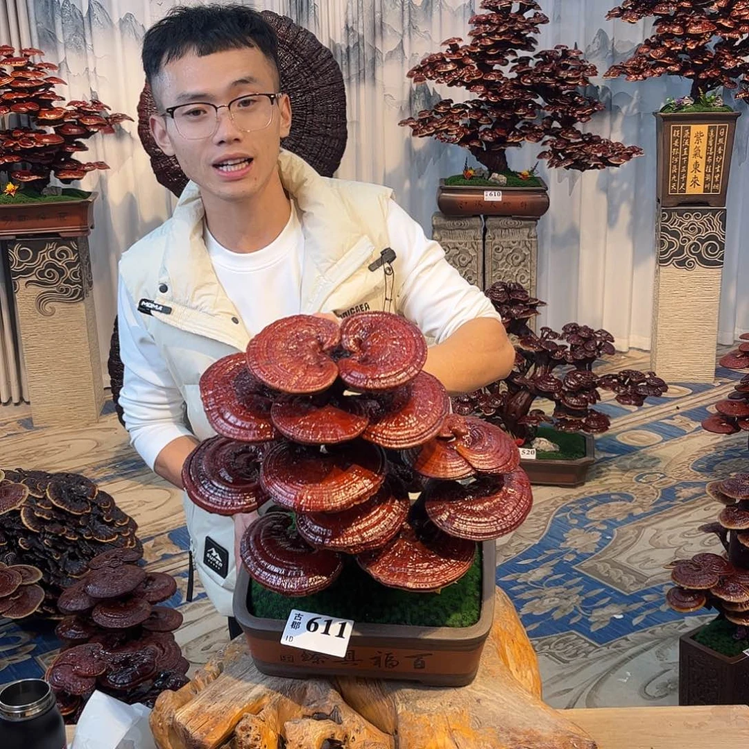 无花朵888888888888