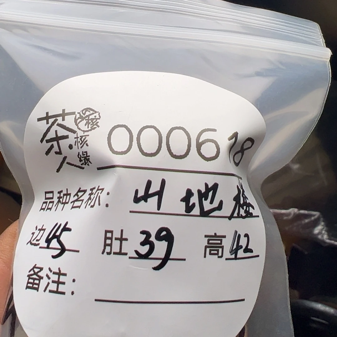 吊坠文玩核桃我们