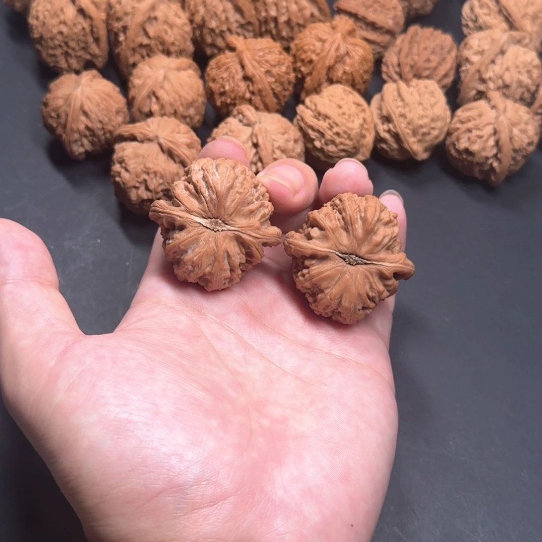 把件文玩核桃42白狮子全品