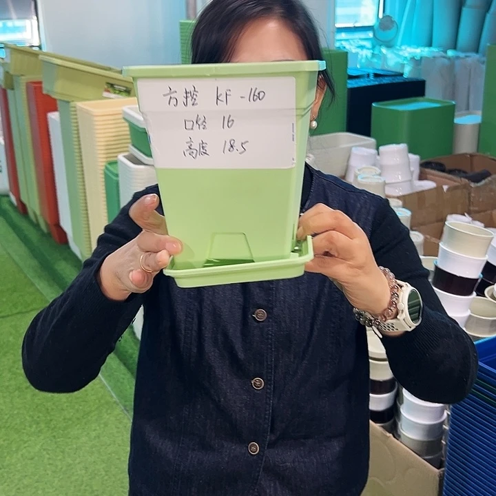 特价方盆口16高18果绿带托5只