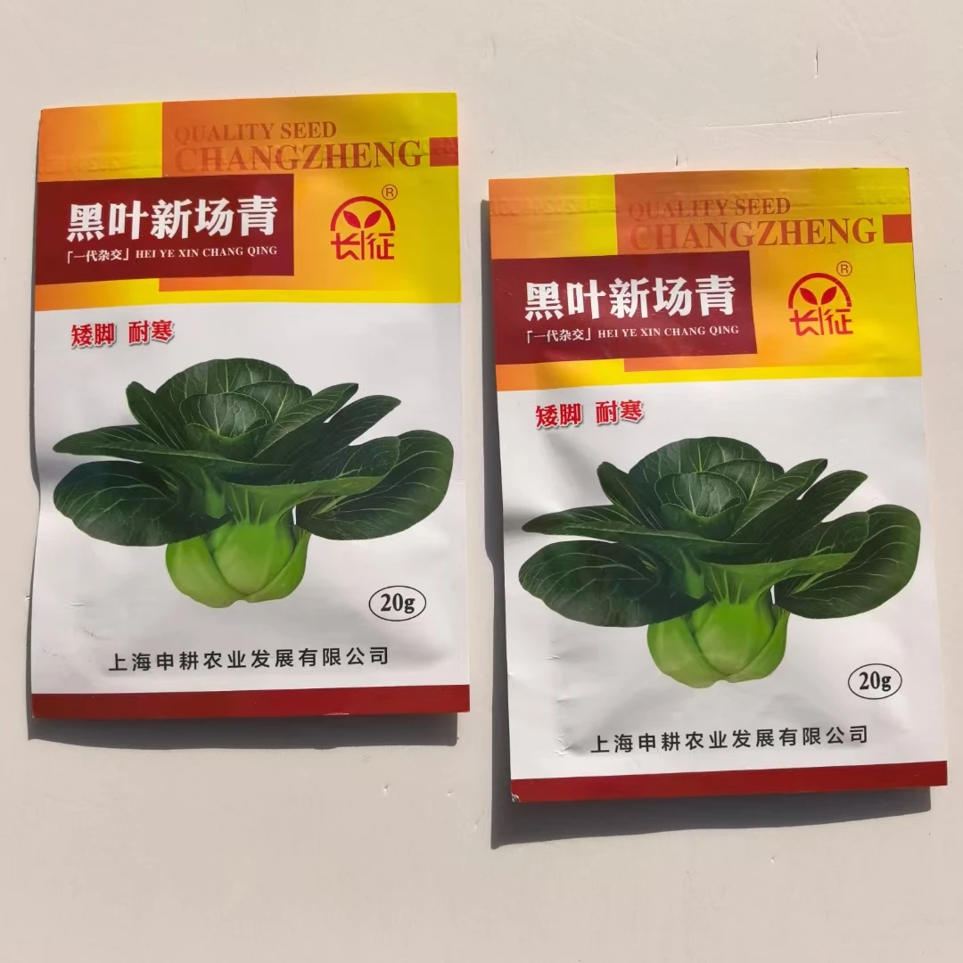 黑叶新场青小青菜种子苏州青耐寒正品原装新款高产好吃家庭种植