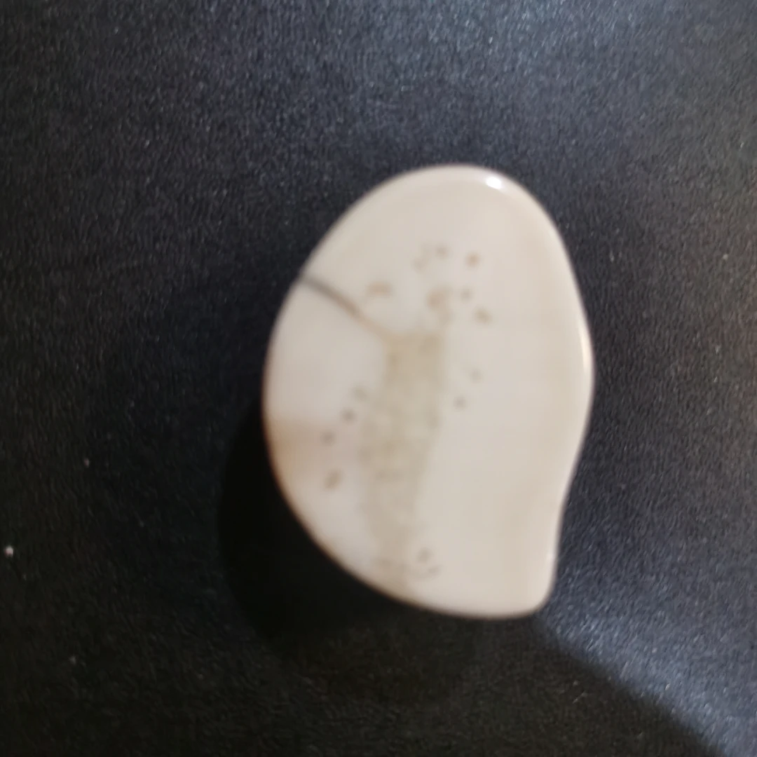 猛犸猛犸虬饼子WW302