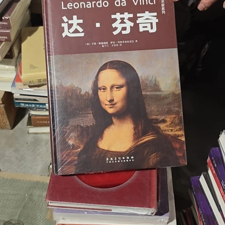 达芬奇精装塑封全新正版全新