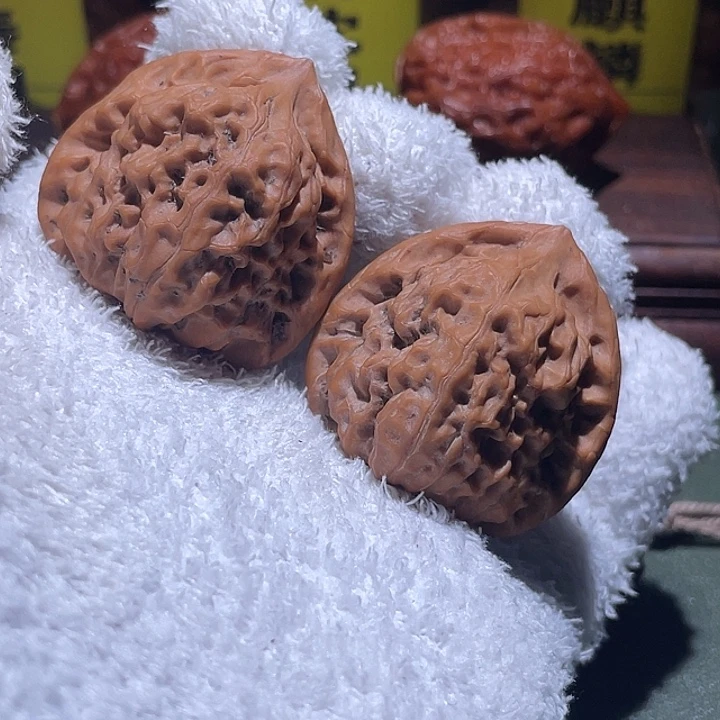 38精品邢台角蛙核桃