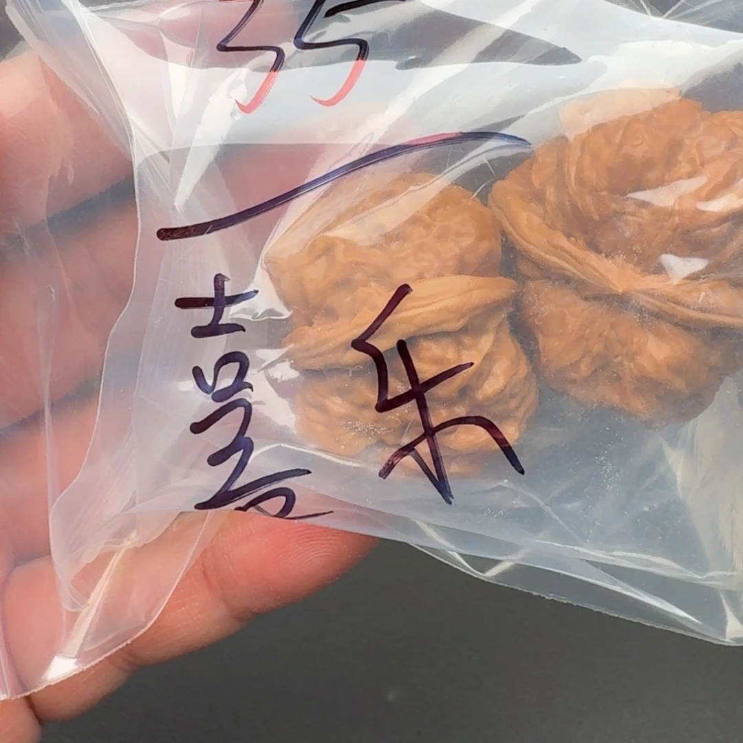桃核把件喜*蛤蟆头35元