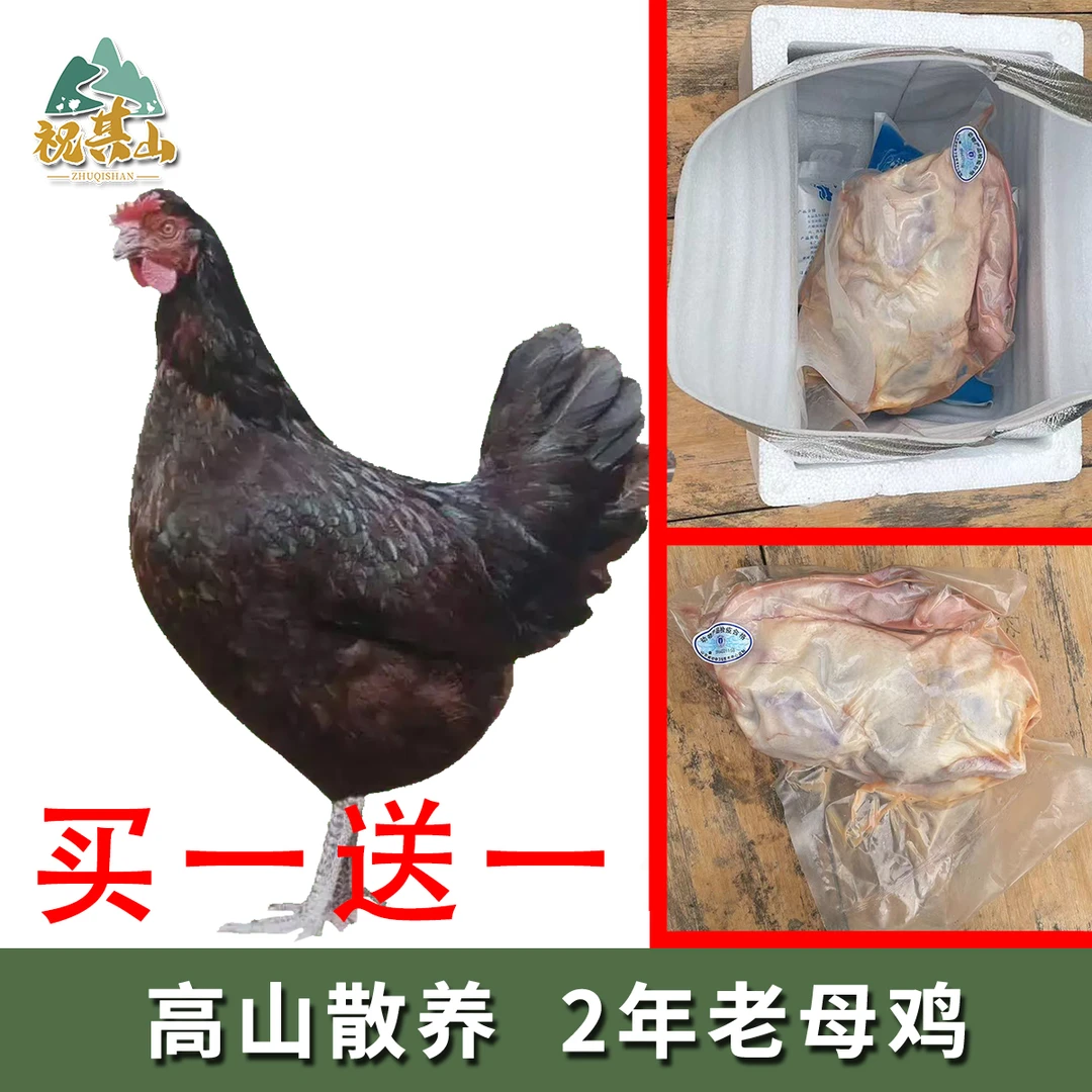 【买一送一】山林农家散养老母鸡560天现杀走地鸡月子草鸡单只2.5斤