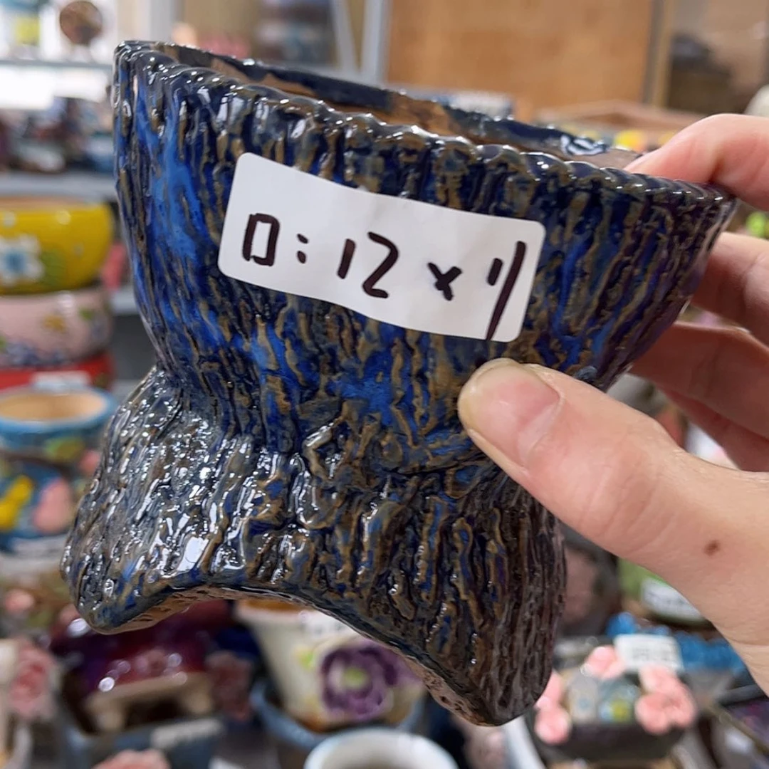 【闪购商品】红陶福利