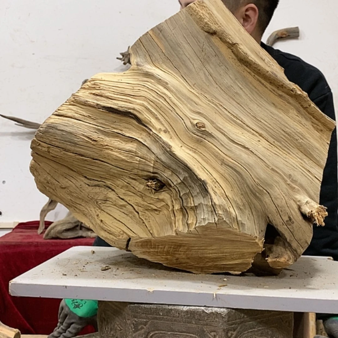 【闪购商品】柏木s*s我们都是好孩子