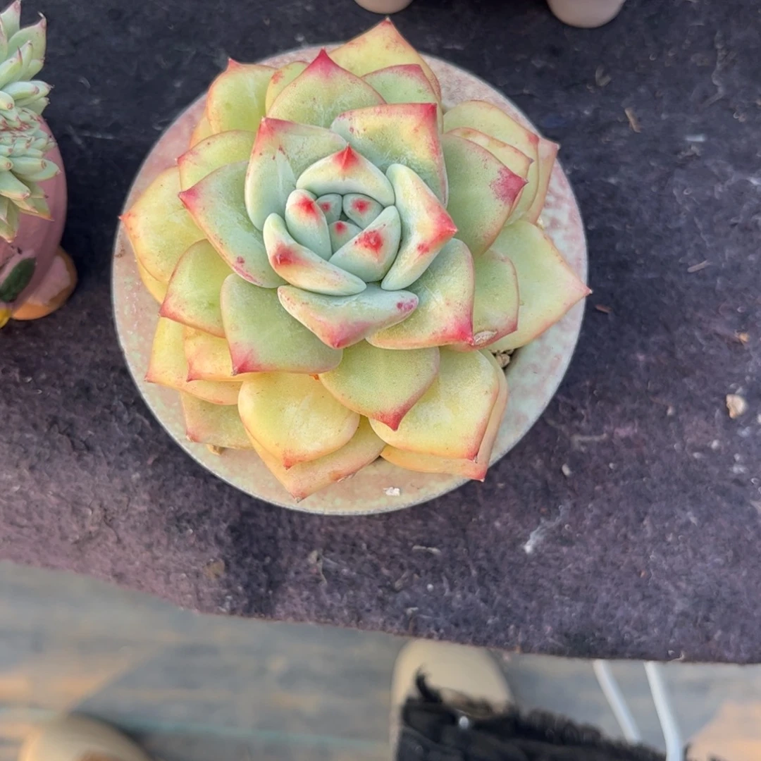 无***谓111111111111111111111